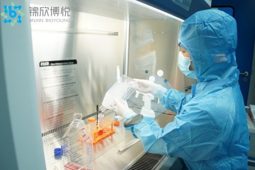 揭秘人體抗衰新前沿 干細胞技術引領的三大路徑
