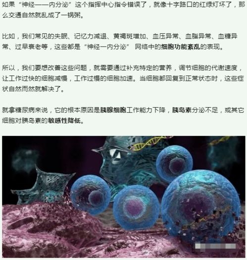 干細胞 人體健康的基石與未來醫學的引擎
